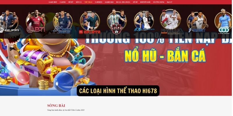 Các loại hình thể thao hi678