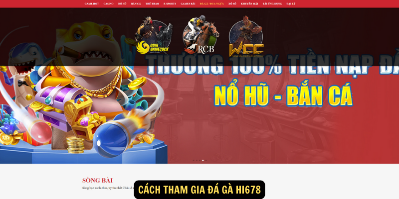 Cách tham gia Đá Gà hi678