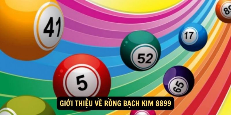 Giới thiệu về Rồng Bạch Kim 8899